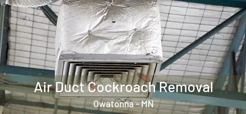  Air Duct Cockroach Removal Owatonna - MN