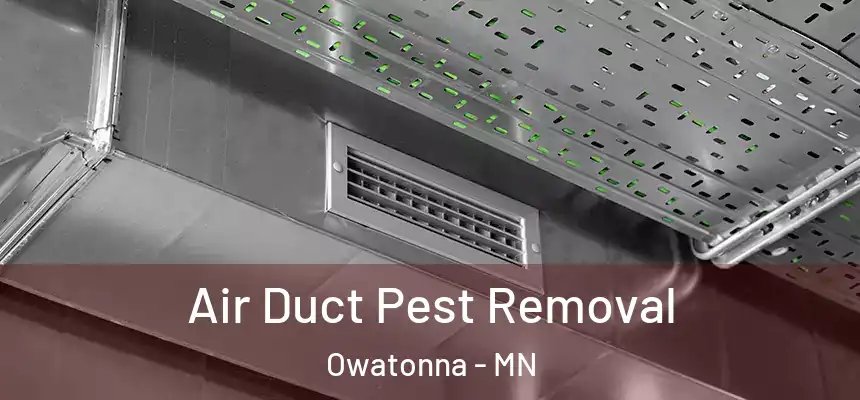  Air Duct Pest Removal Owatonna - MN