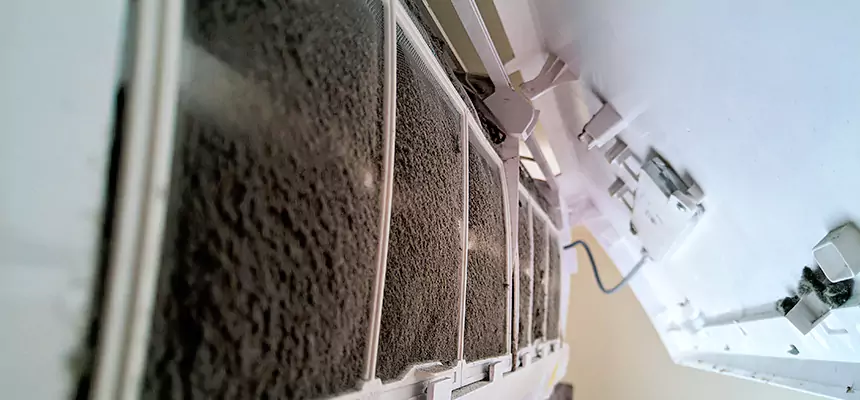 Preventive Air Duct Bacteria Removal in Owatonna