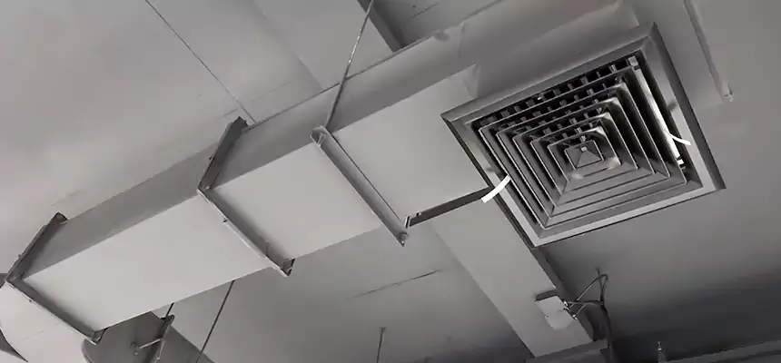 Restorative Allergy Relief Vent Cleaning – Coil, Blower & Housing Detail in Owatonna