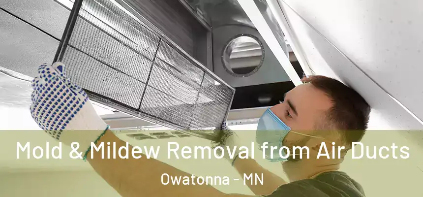  Mold & Mildew Removal from Air Ducts Owatonna - MN