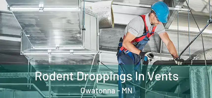  Rodent Droppings In Vents Owatonna - MN