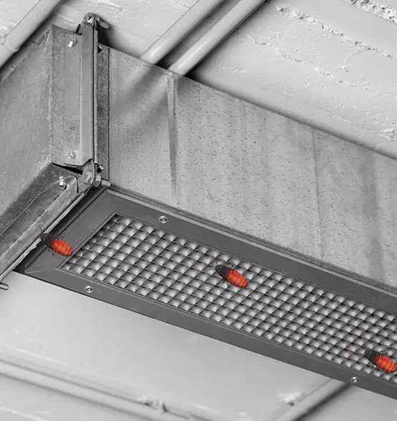 About Air Duct Cockroach Removal in Owatonna, MN