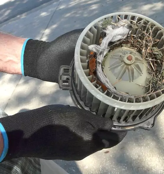 About Air Duct Mice Removal in Owatonna, MN