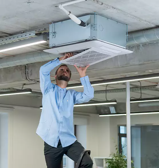 Advanced Rodent Droppings In Vents in Owatonna, MN