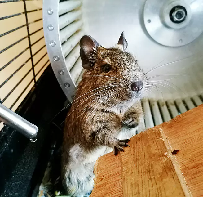 Why Homeowners & Businesses Trust Us Owatonna, MN